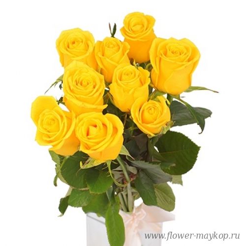 9 желтых роз